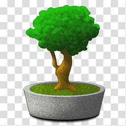 Bonsai Icon, bonsai_by_swordne, green bonsai transparent background PNG clipart