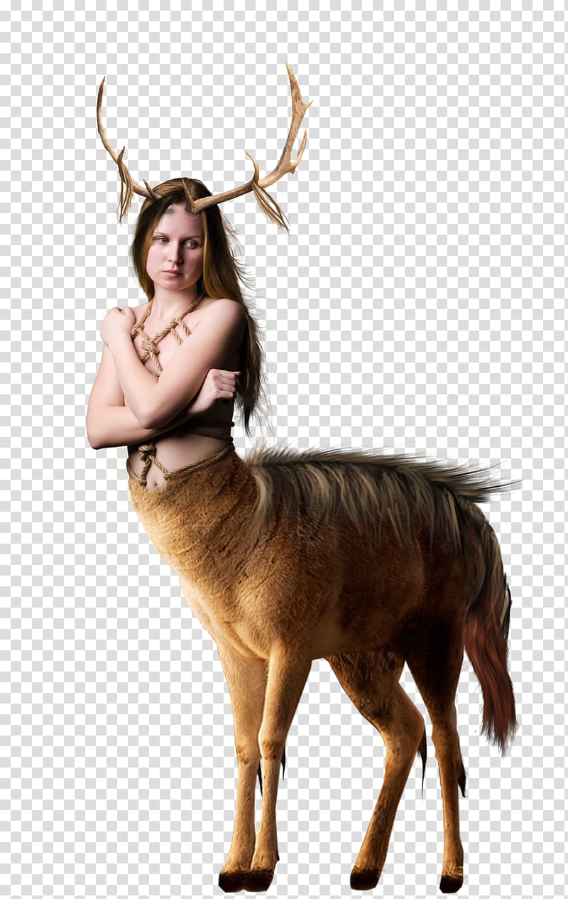 Human animal hybrid, unknown celebrity with half deer body illustration transparent background PNG clipart