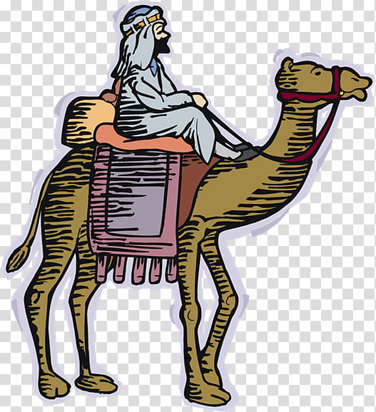 Llama, Dromedary, Bactrian Camel, Horse, Animation, Drawing, Camelid, Arabian Camel transparent background PNG clipart