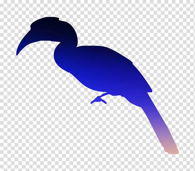 Hornbill Bird, Cygnini, Goose, Beak, Duck, Feather, Water Bird, Blue transparent background PNG clipart