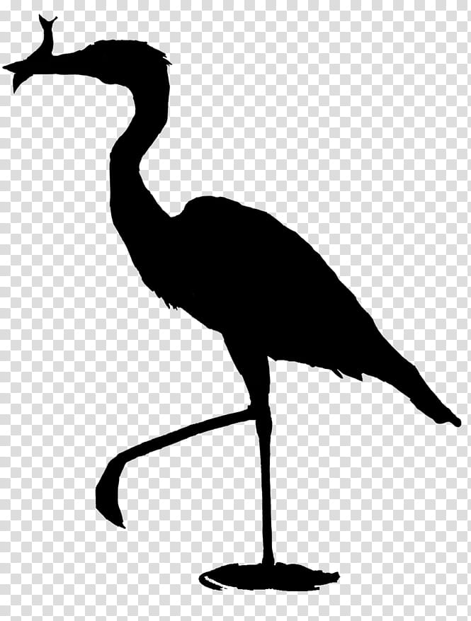 Crane Bird, Beak, Silhouette, Water Bird, Cranelike Bird, Heron ...