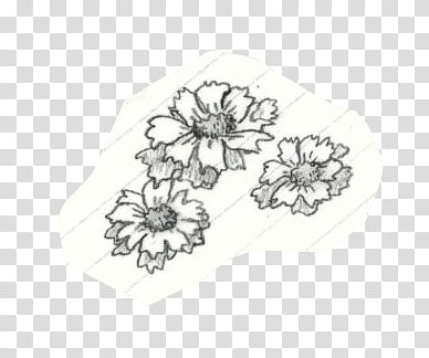 Shoujo, black floral art transparent background PNG clipart