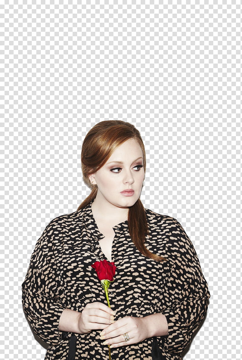 Adele transparent background PNG clipart