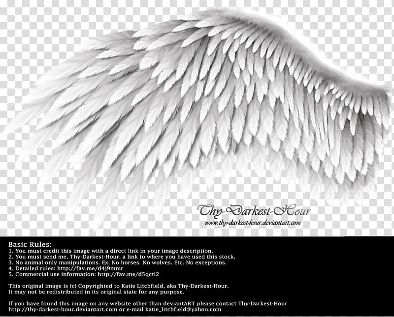 Romantic Wing Silver, angel wings fact transparent background PNG clipart