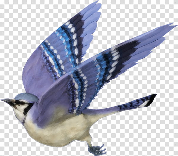 Swallow Bird, Toronto Blue Jays, Finches, Mordecai, Songbird, Bluebird, Perching Bird, Beak transparent background PNG clipart