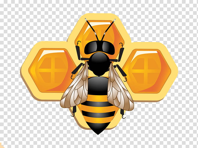 Bee, Honey Bee, Beehive, Beekeeping, Queen Bee, Pollination, Heath Beekeeping, Honeycomb transparent background PNG clipart