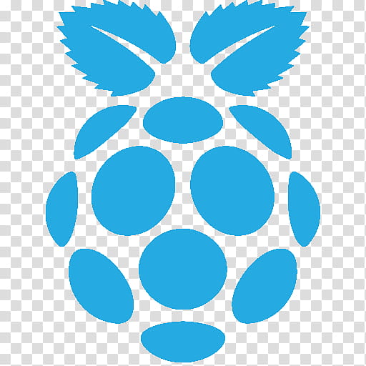 Raspberry Pi Aqua, Magpi, Singleboard Computer, Raspbian, Openmediavault, User, Turquoise, Blue transparent background PNG clipart