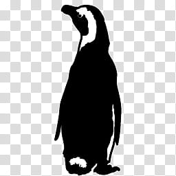 JCons  Updated, penguin! icon transparent background PNG clipart