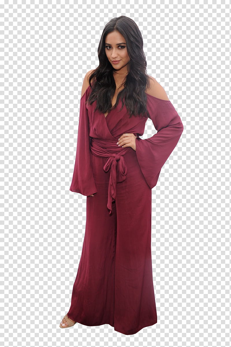 Shay Mitchell transparent background PNG clipart