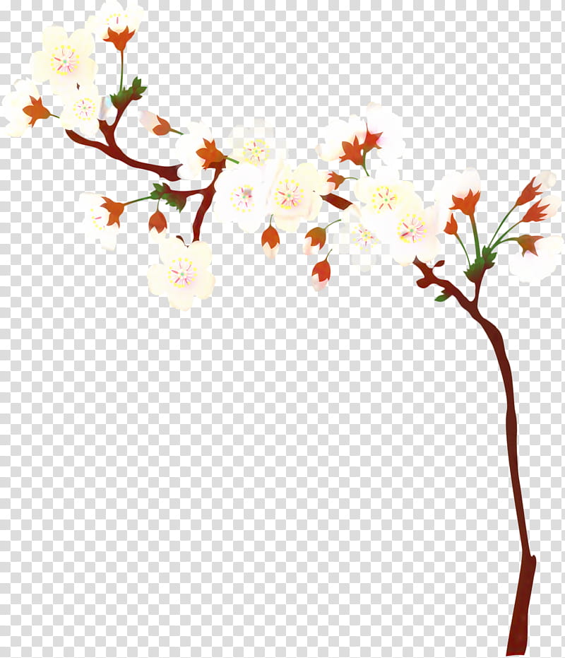 Cherry Blossom Tree, Floral Design, Flower, Stau150 Minvuncnr Ad, Prunus, Spring
, Cherries, Branch transparent background PNG clipart