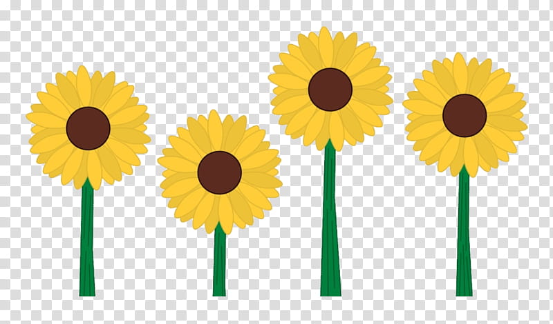 Sunflower, Yellow, Plant, Cut Flowers, Gerbera, Daisy Family, Asterales transparent background PNG clipart