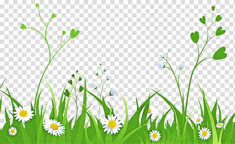 green nature grass plant meadow, Flower, Chamomile, Natural Landscape, Mayweed, Summer Snowflake transparent background PNG clipart