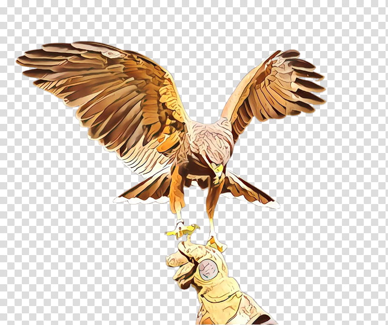 eagle wing golden eagle bird bird of prey, Falcon, Angel, Animal Figure, Falconiformes, Hawk transparent background PNG clipart