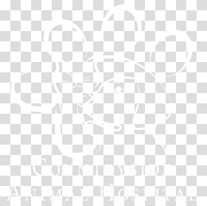 White, Line, Angle, Text transparent background PNG clipart thumbnail