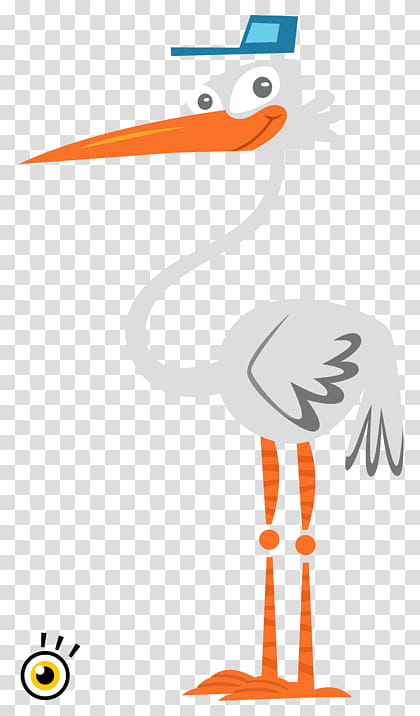 Duck, Beak, Swans, Goose, Water Bird, Orange Sa, Stork, Ciconiiformes transparent background PNG clipart
