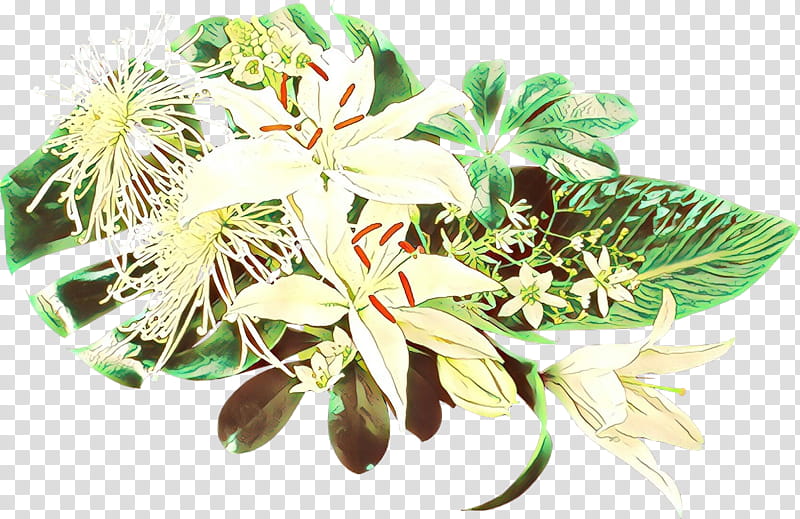 Cartoon Flower, Herb, Plant, Leaf, Honeysuckle, Passion Flower Family, Perennial Plant transparent background PNG clipart