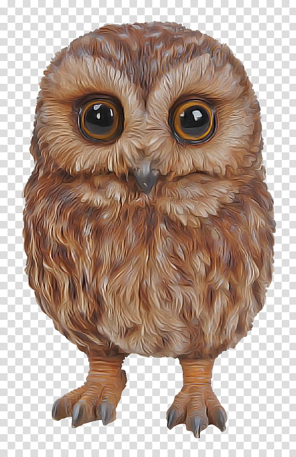 owl bird bird of prey brown animal figure, Figurine, Wildlife, Beak, Eastern Screech Owl transparent background PNG clipart