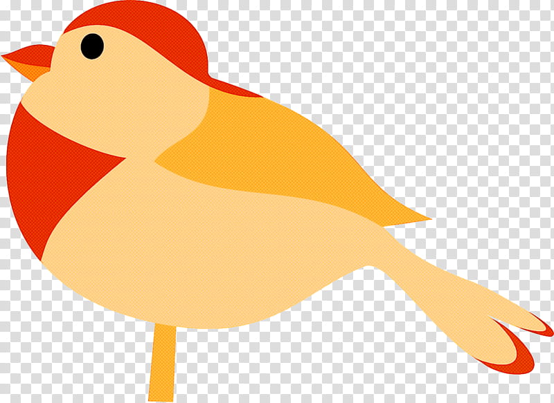 bird beak european robin songbird finch, Perching Bird, Sparrow, Old World Flycatcher, Tail transparent background PNG clipart