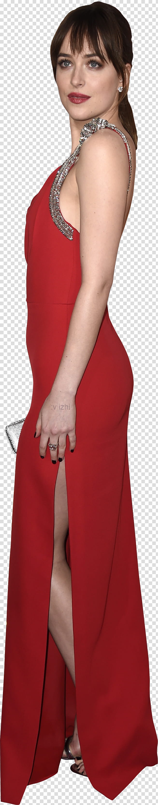 Dakota Johnson transparent background PNG clipart