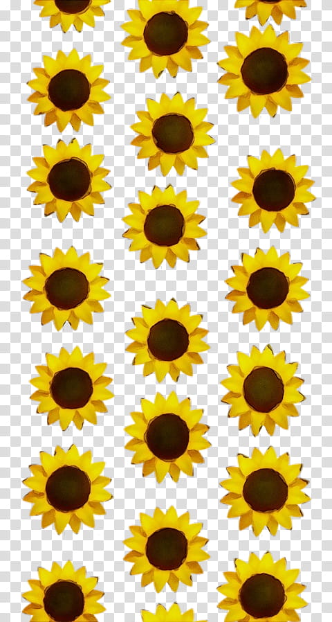 Sunflower, Watercolor, Paint, Wet Ink, Yellow, Line, Plant, Daisy Family transparent background PNG clipart