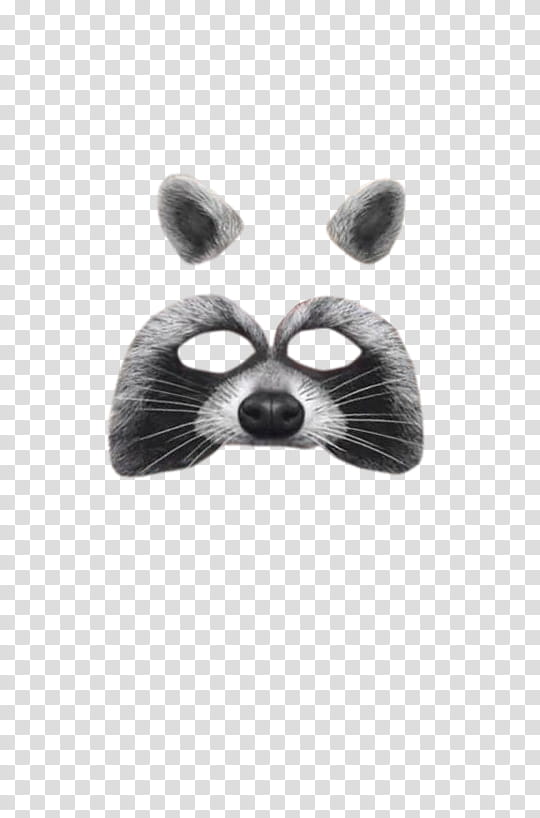 SNAPCHAT , gray and white animal illutration transparent background PNG clipart
