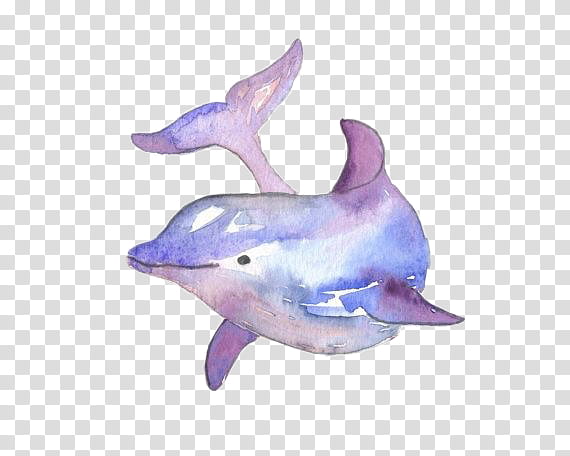 Watercolor Animal, Watercolor Painting, Dolphin, Drawing, Modern Art, Whales, Decal, Blue Watercolor Print transparent background PNG clipart