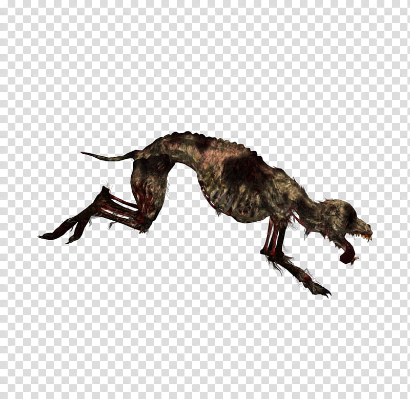 Undead Dogs xps mmd, skeleton dog illustration transparent background PNG clipart