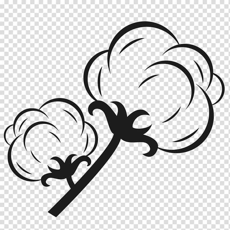 Cotton Flower Drawing Png - Cotton flower drawing, cotton tree ...