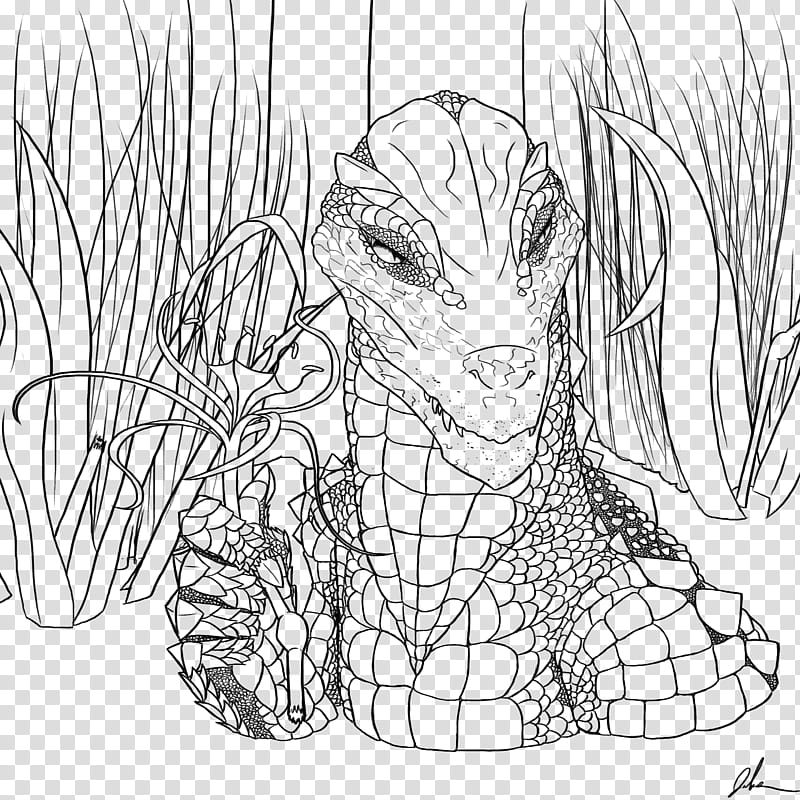 Swamp Florist Colorable Lines, illustration of crocodile transparent background PNG clipart