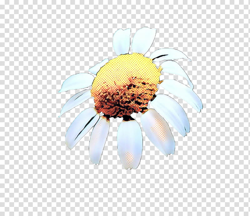 Flowers, Cut Flowers, Petal, Yellow, Gerbera, Camomile, Mayweed, Plant transparent background PNG clipart