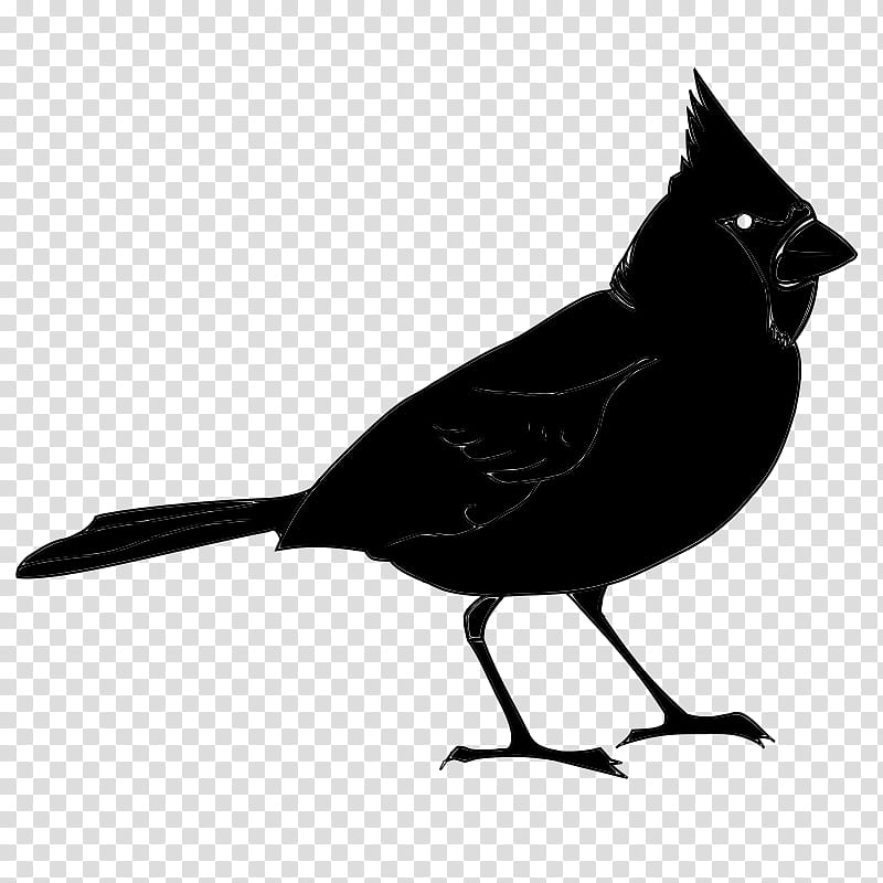 Cardinal Bird, St Louis Cardinals, Northern Cardinal, Drawing, Silhouette, Beak, Blackbird, Perching Bird transparent background PNG clipart