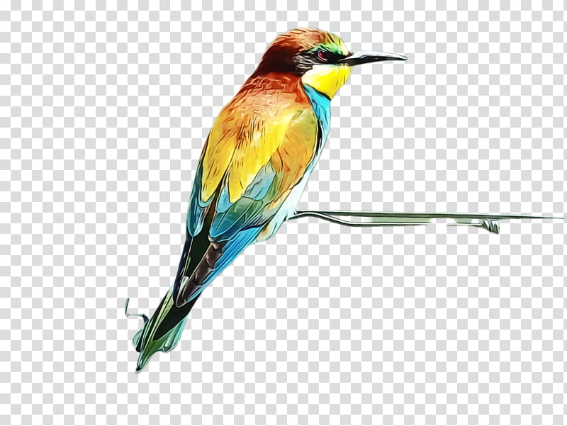 Bee, Watercolor, Paint, Wet Ink, Beeeater, Hummingbird, Insect, Beak transparent background PNG clipart