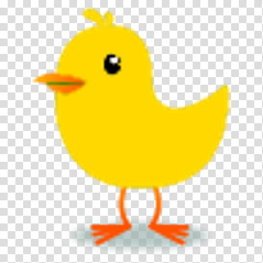 Tweety Bird, Domestic Canary, Yellow Canary, Silhouette, Beak, Cartoon, Chicken, Orange transparent background PNG clipart