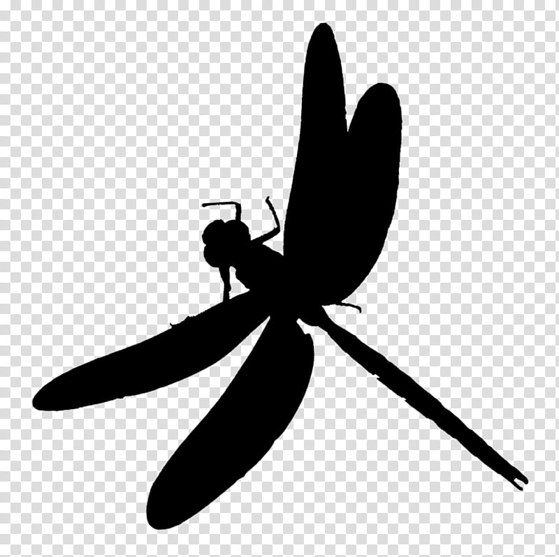graphy Logo, Insect, Silhouette, Pollinator, Dragonfly, Membrane, Dragonflies And Damseflies, Black transparent background PNG clipart