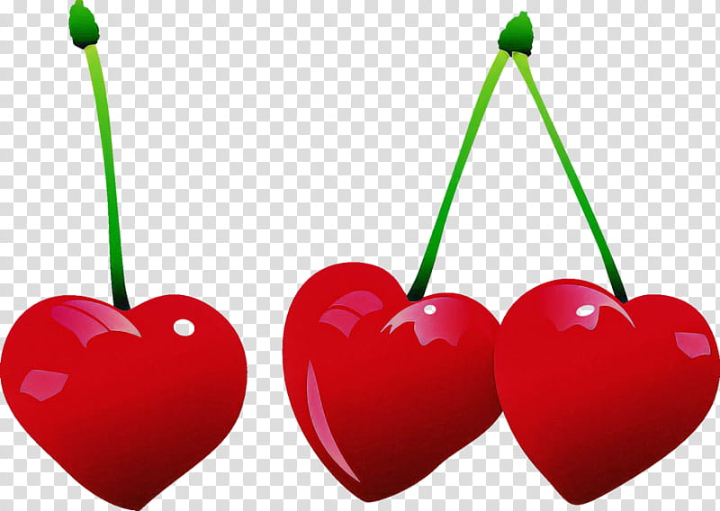 Valentine's day, Heart, Cherry, Red, Plant, Love, Fruit, Drupe transparent background PNG clipart