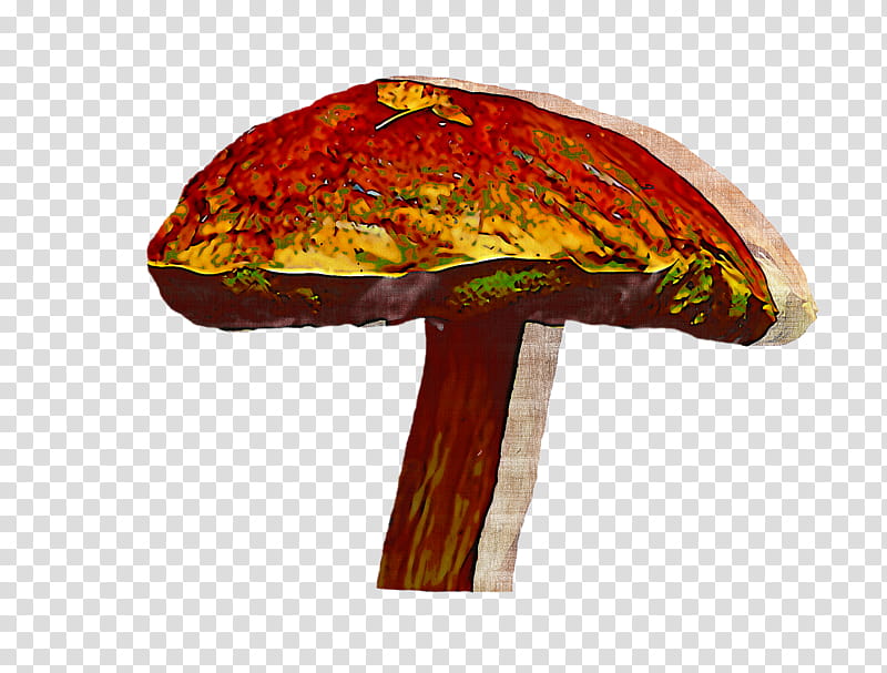 Orange, Mushroom, Bolete, Tree, Medicinal Mushroom, Plant, Cap transparent background PNG clipart