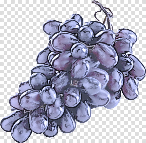 grape grapevine family vitis fruit seedless fruit, Plant, Watercolor Paint, Flower, Grape Seed Extract transparent background PNG clipart