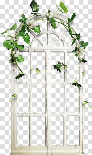 FREE, white wooden framed glass window with vine transparent background PNG clipart
