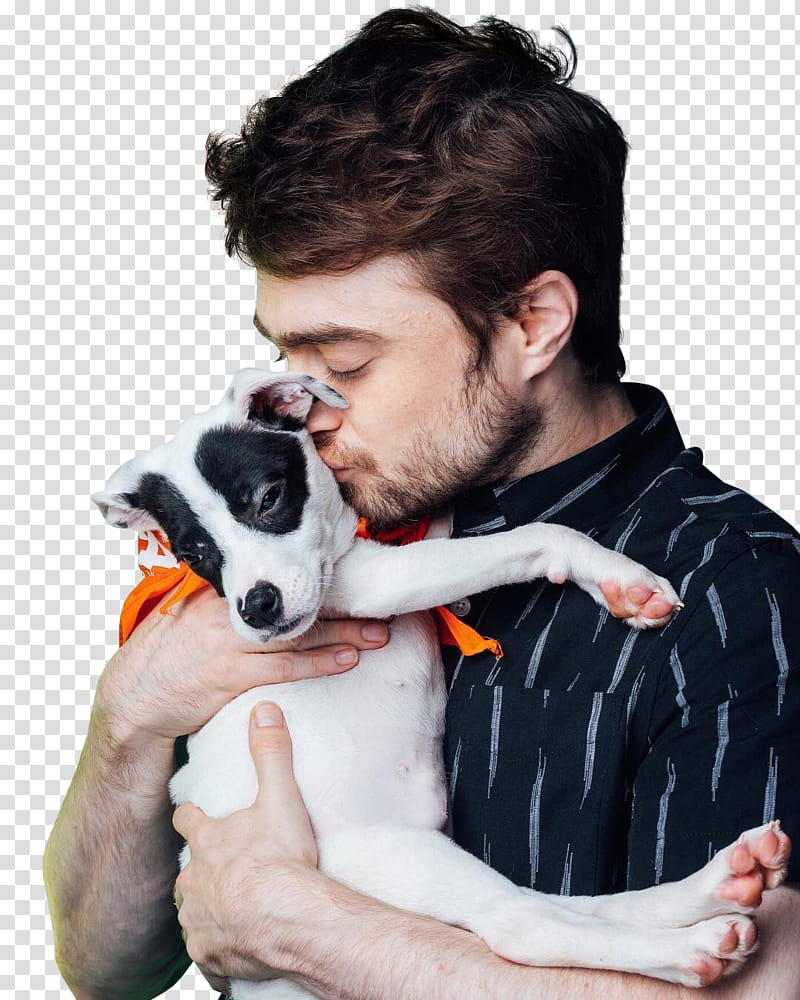 DANIEL RADCLIFFE,  transparent background PNG clipart