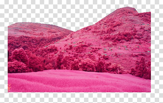 Mountains , pink forest transparent background PNG clipart