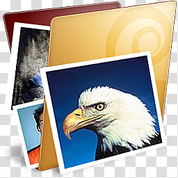 Golden Folder Icon , golden-s-folder, white eagle illustration transparent background PNG clipart