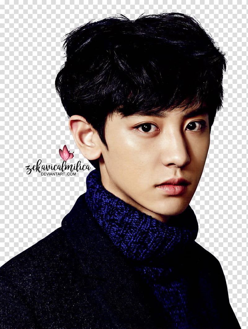 EXO Chanyeol  Season Greetings, Chanyeol illustration transparent background PNG clipart