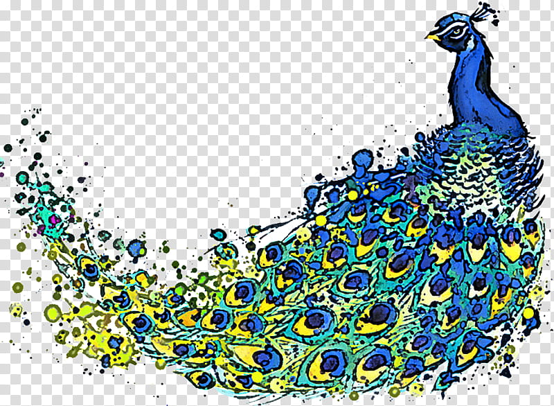 peafowl transparent background PNG clipart