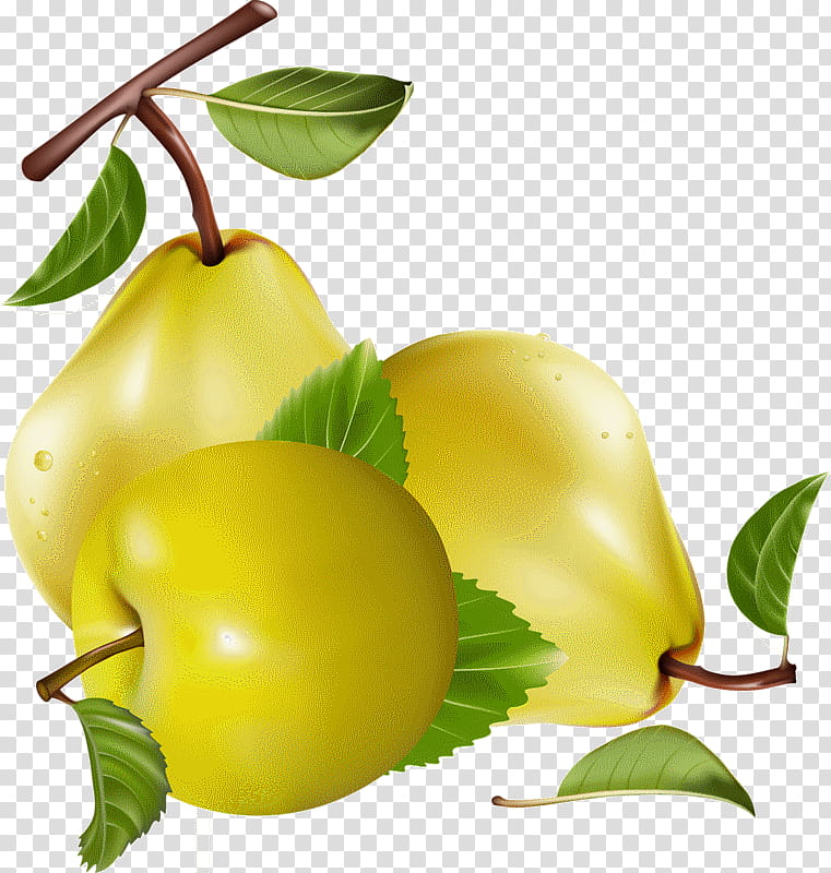 Apple Tree, Juice, Pear, Fruit, Berries, Dried Fruit, Food, Accessory Fruit transparent background PNG clipart