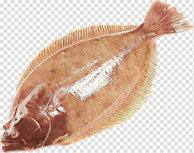 flatfish sole fish flounder fish, Cartoon, Katsuobushi, Food, Saltcured Meat, Seafood transparent background PNG clipart