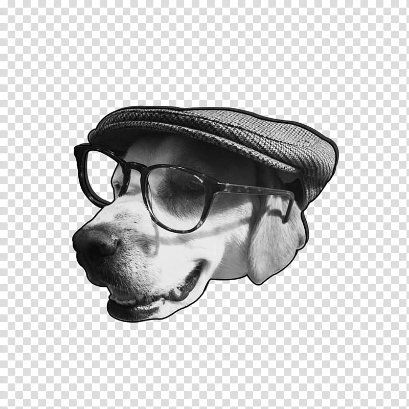 Glasses Drawing, Dog, Snout, Goggles, White, Face, Nose, Head transparent background PNG clipart