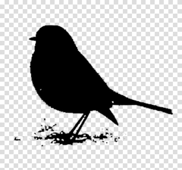 Robin Bird, American Sparrows, Beak, Silhouette, Blackbird, Songbird, Perching Bird, European Robin transparent background PNG clipart