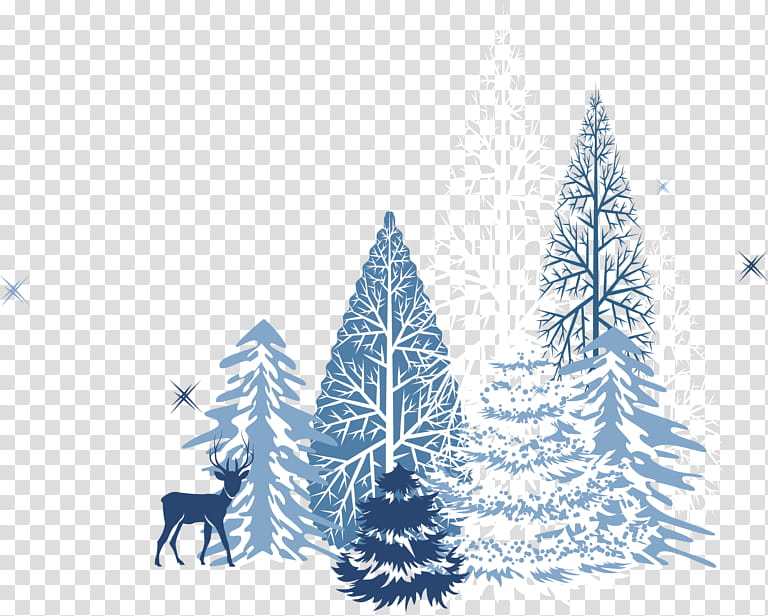 Christmas Black And White, Snowflake, Borders , Colorado Spruce, White Pine, Oregon Pine, Tree, Shortleaf Black Spruce transparent background PNG clipart