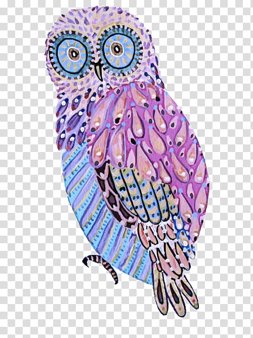 owl bird barn owl bird of prey beak transparent background PNG clipart