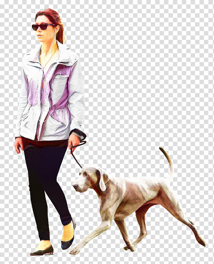 Group Of People, Dog Walking, Labrador Retriever, Architecture, Cat People And Dog People, Pet Sitting, Rendering, Architectural Rendering transparent background PNG clipart